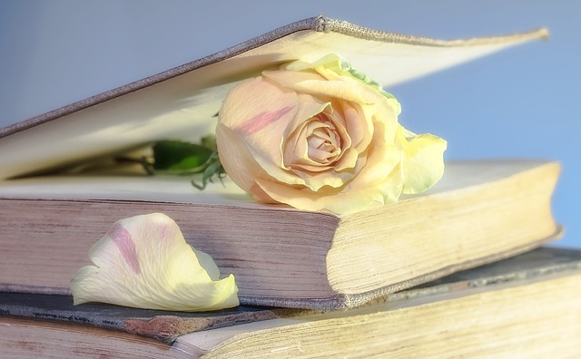 Rose som ligger i en bok og brukes som bokmerke